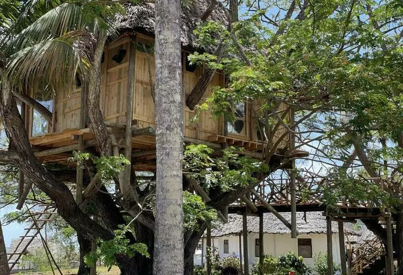 استراحتگاه Antonio Beach Tree House Hotel & Spa
