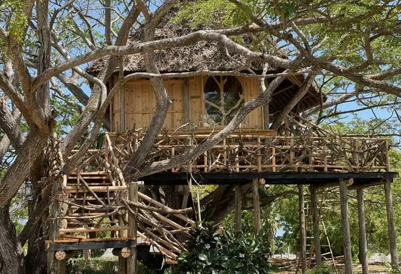 استراحتگاه Antonio Beach Tree House Hotel & Spa