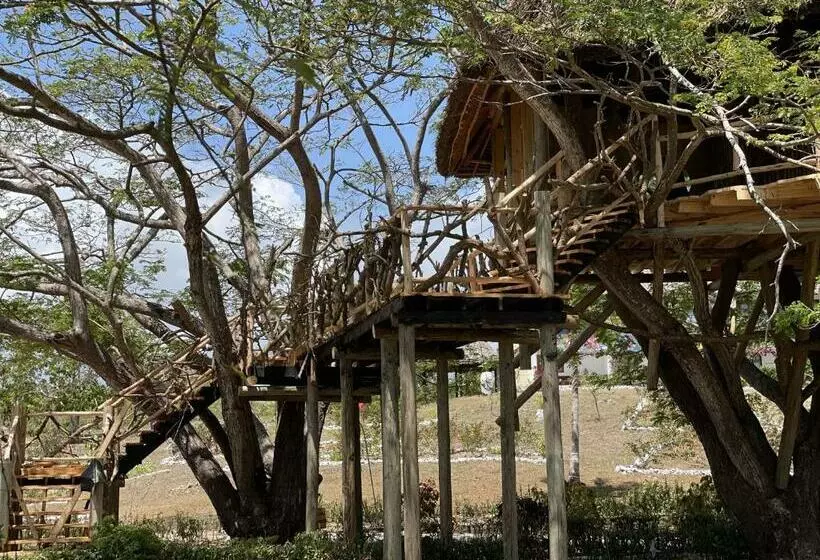 استراحتگاه Antonio Beach Tree House Hotel & Spa