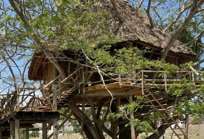 استراحتگاه Antonio Beach Tree House Hotel & Spa