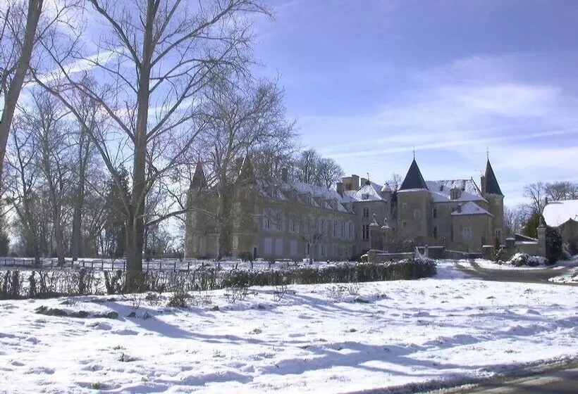 בית מלון כפרי Château D Island Avallon Vézelay