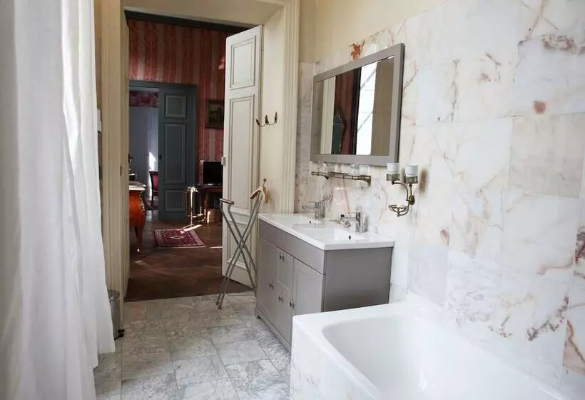 בית מלון כפרי Château D Island Avallon Vézelay