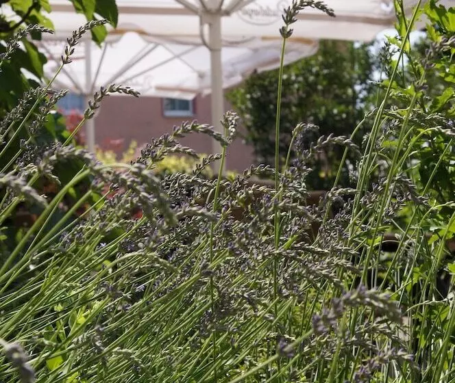 호텔 & Pension Müllers Gasthof