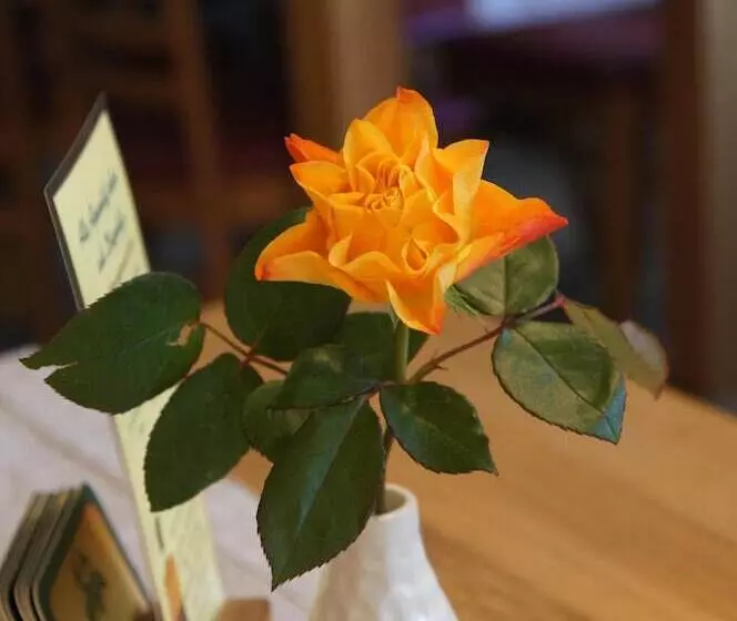 호텔 & Pension Müllers Gasthof