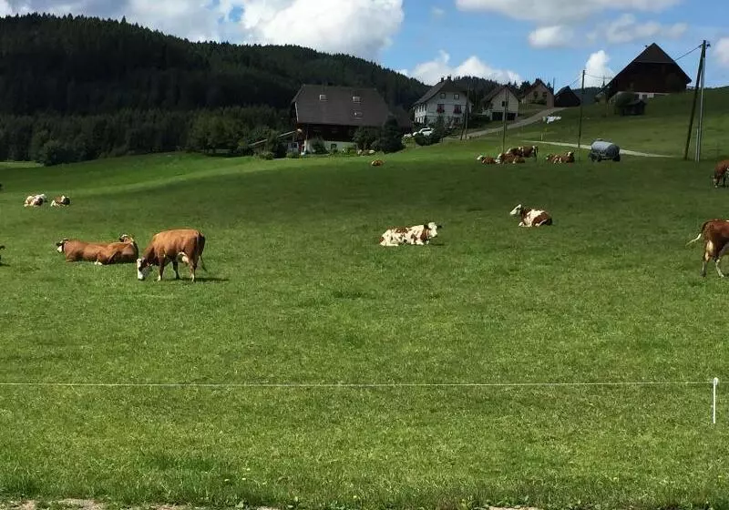 B+b Hotel Sonnenmatte Near Badeparadies