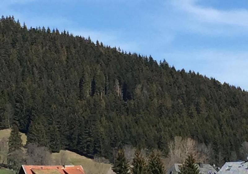 B+b Hotel Sonnenmatte Near Badeparadies