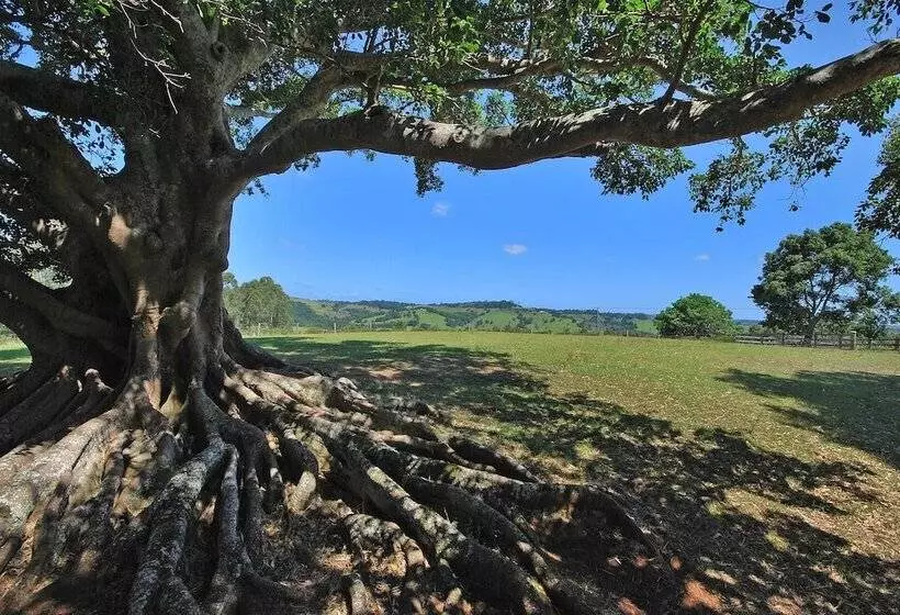 호텔 Summerhills Retreat Byron Bay
