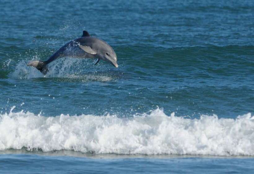 호텔 Summerhills Retreat Byron Bay