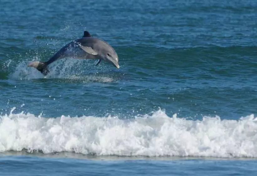 호텔 Summerhills Retreat Byron Bay