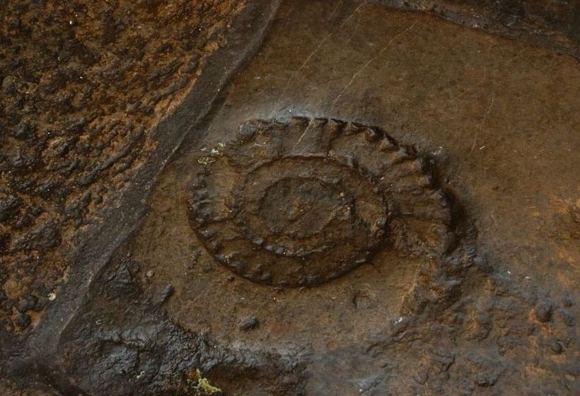 호텔 The Old Priory