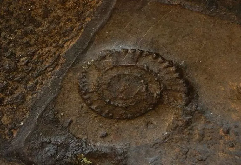 Отель The Old Priory