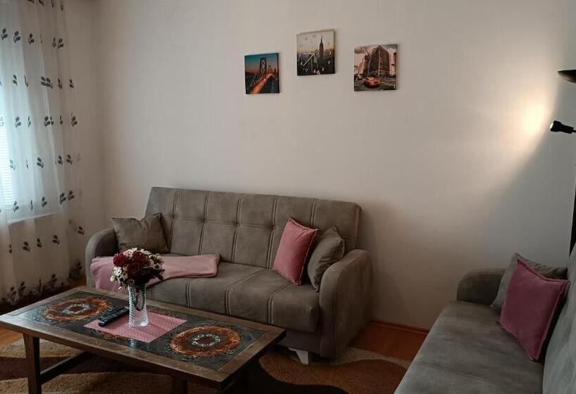 هاستل City Park Apartments