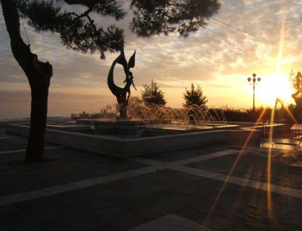 בית מלון כפרי Astor