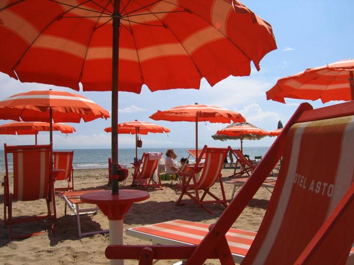 בית מלון כפרי Astor