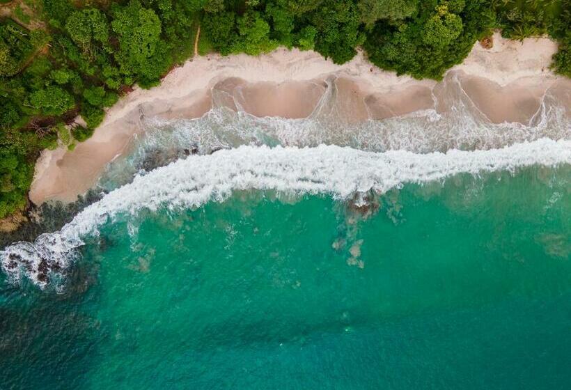 בית מלון כפרי Rancho Haas