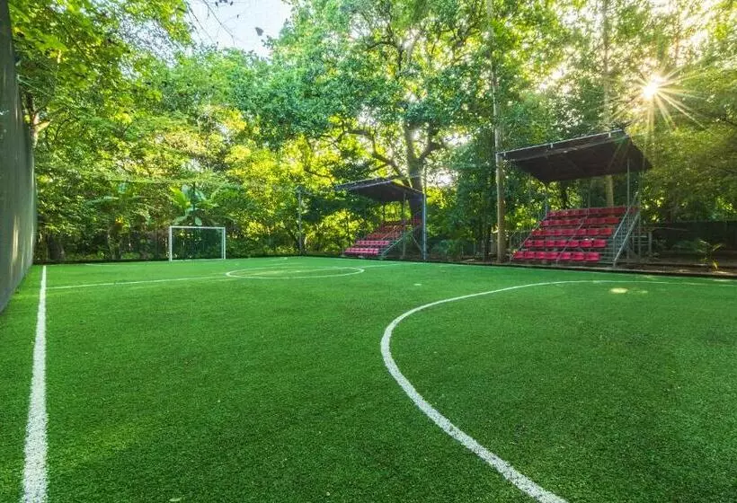 هتل Rancho Haas