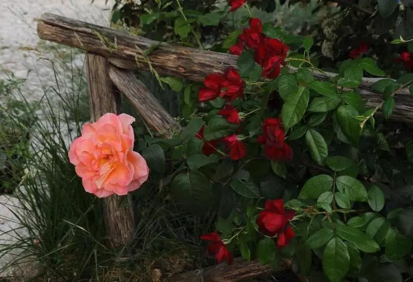 ペンション Affittacamere Fulé