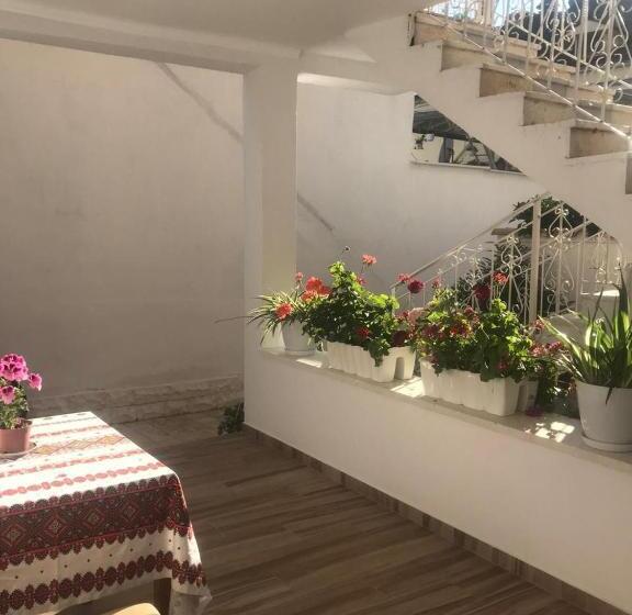 펜션 Apartment Koka