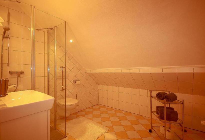 Пансион Bosek`s