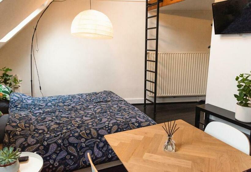 پانسیون Brabantdam 44 Self Check In