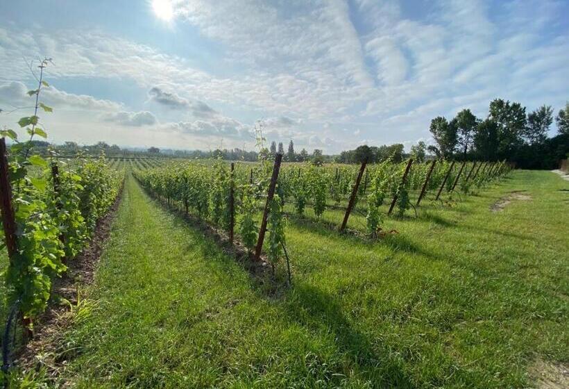 酒店 Villa San Pietro