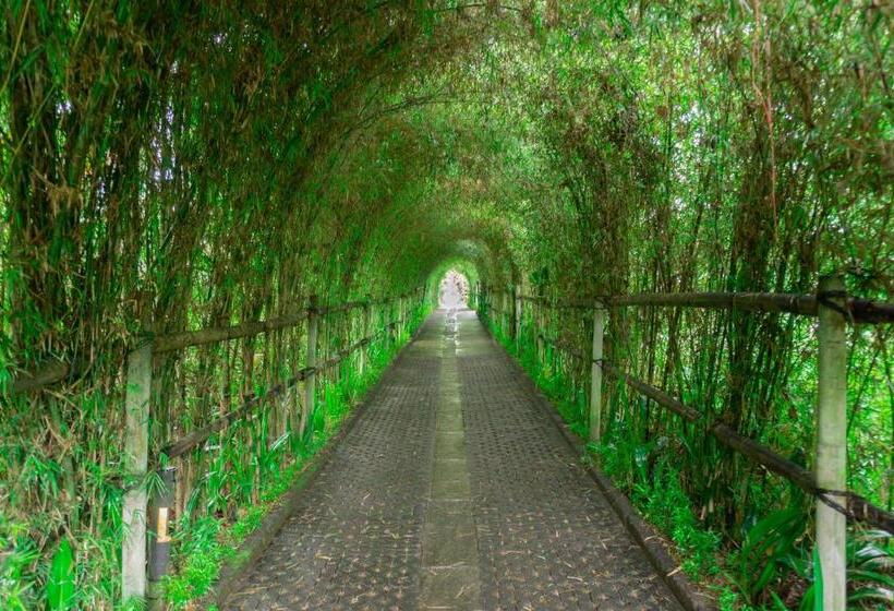 Bed and Breakfast Prayatna Villas