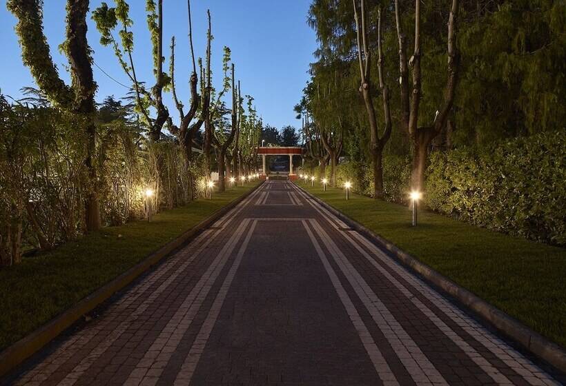 هتل Niccolo  V   Terme Dei Papi