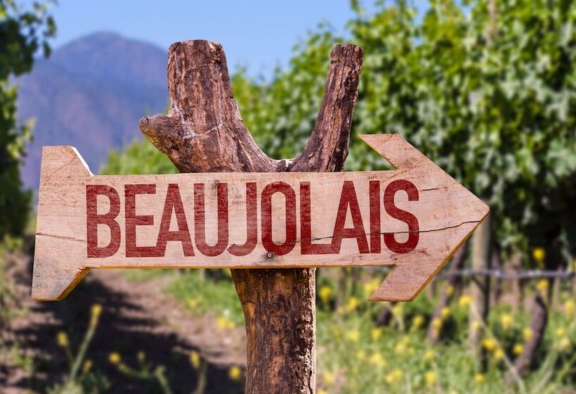 فندق Villa Alexandre