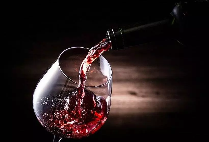 Hotelli Villa Alexandre