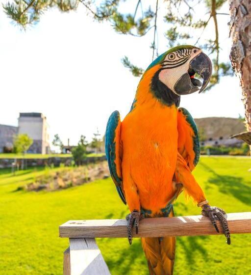 Ajwa Cappadocia   Preferred Hotels Legend Collection