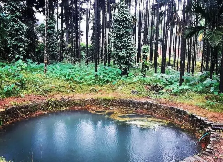 Hotelli Hosamane Farm Inn