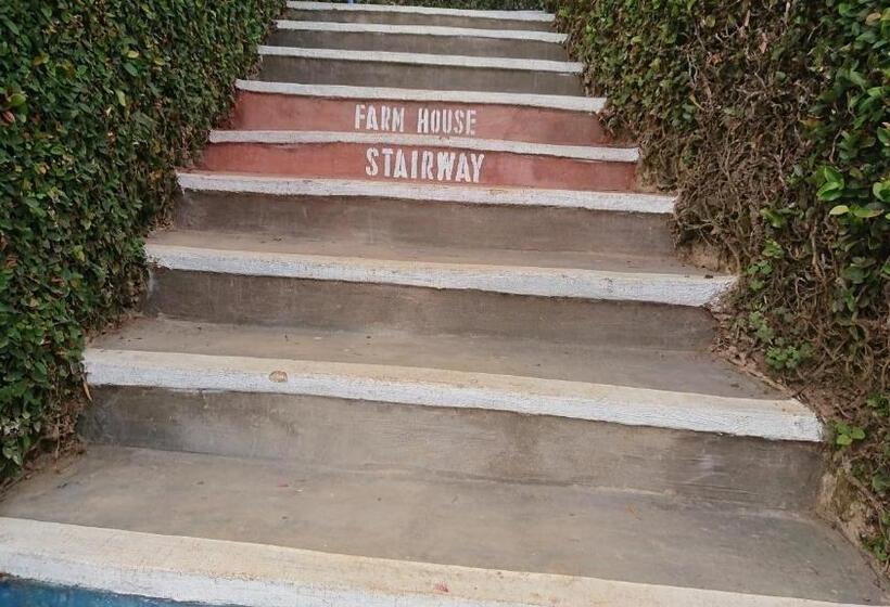 فندق Lushoto Executive Lodge