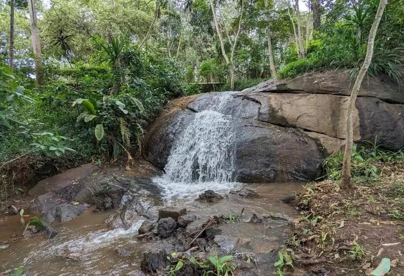 هتل Lushoto Executive Lodge