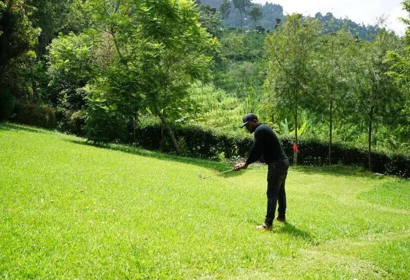 هتل Lushoto Executive Lodge
