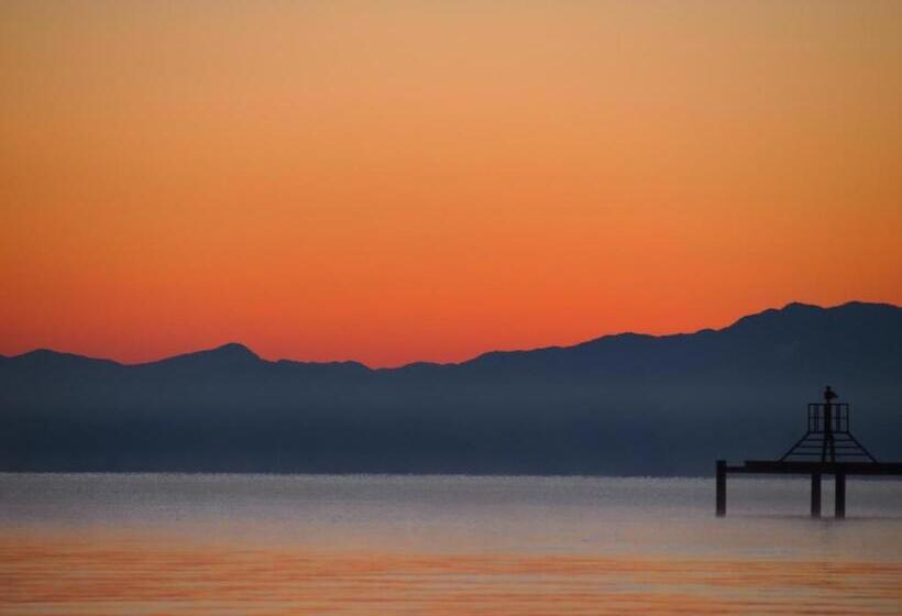 Pensão 1組限定ドッグフレンドリー&イギリス料理 Laughing Dogs Villa