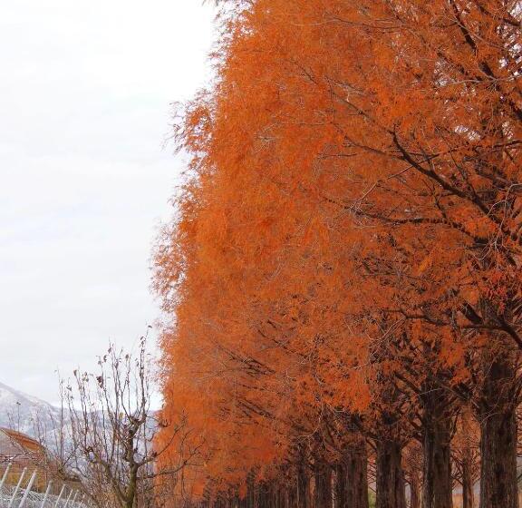 Pensão 1組限定ドッグフレンドリー&イギリス料理 Laughing Dogs Villa