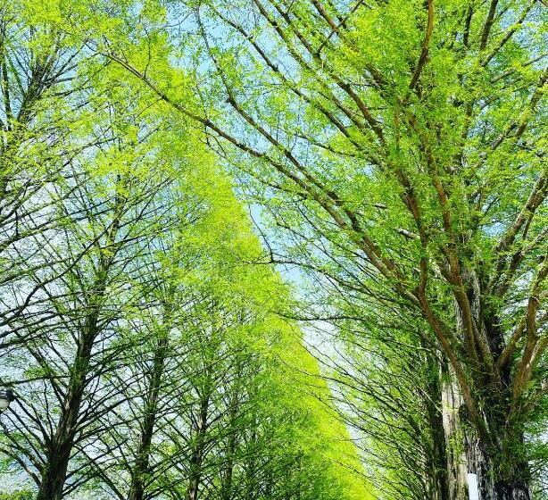 Pensão 1組限定ドッグフレンドリー&イギリス料理 Laughing Dogs Villa