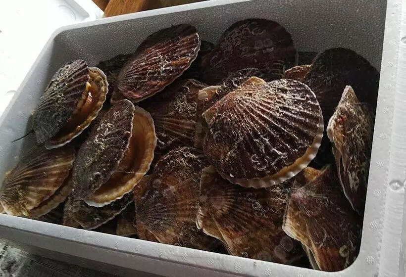 ペンション Minshuku Kaikazari Kunnui