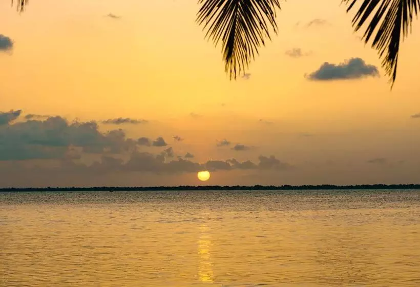 Lomakeskus Calala Island