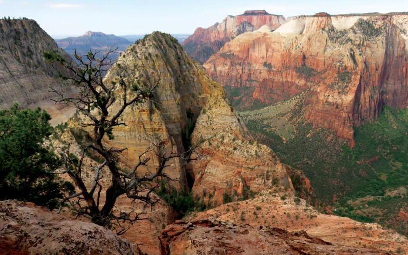 فندق صغير 2 Cranes Inn   Zion