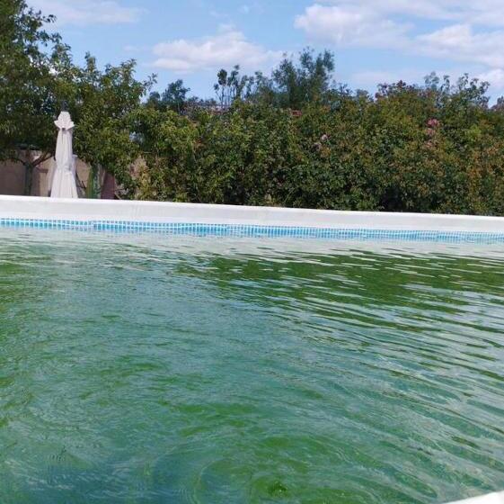 ユースホステル Baza Otdyha Primor'e