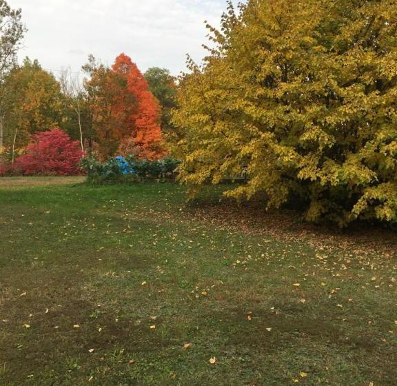 ユースホステル Inn By The River