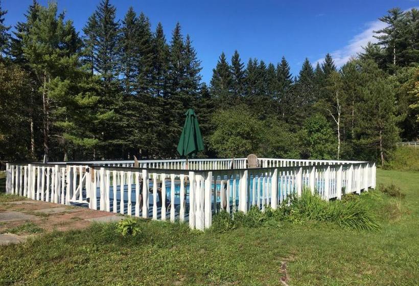 ユースホステル Inn By The River