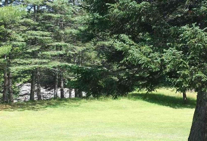 ユースホステル Inn By The River