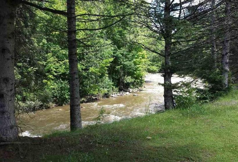 ユースホステル Inn By The River