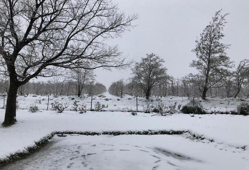 فندق Boplaas Guesthouse