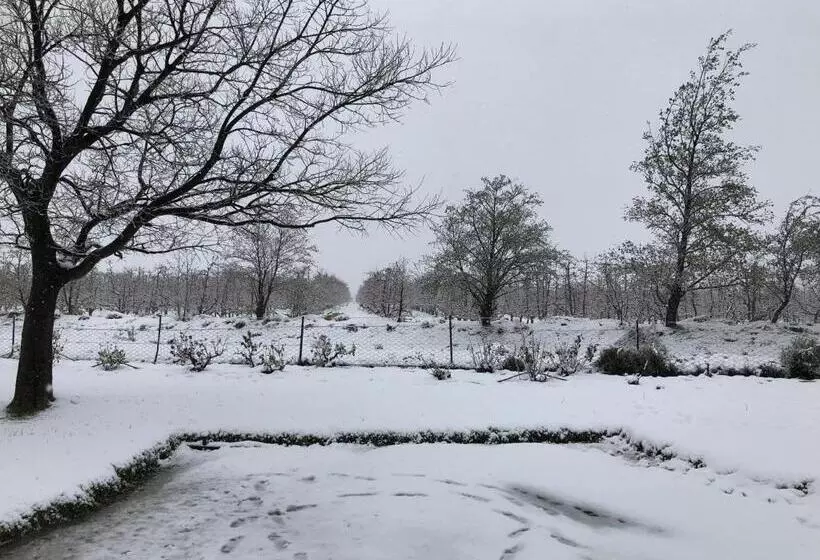 Hotelli Boplaas Guesthouse