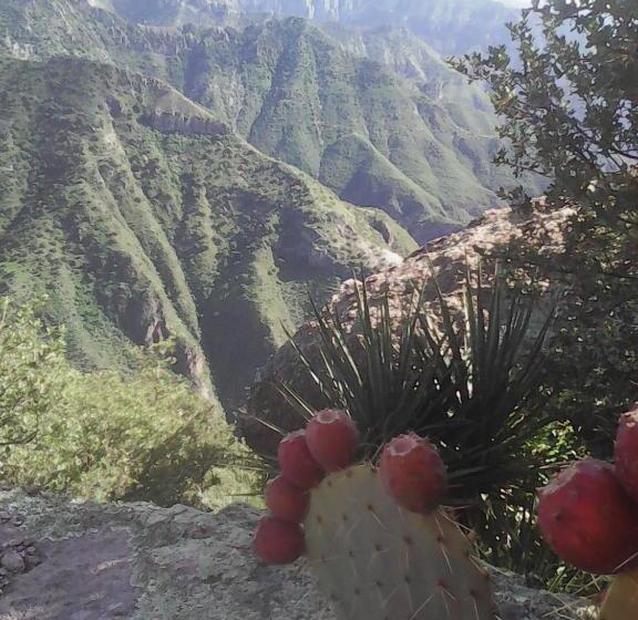 فندق Entronque Barrancas