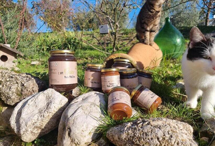 Отель La Collina Degli Ulivi