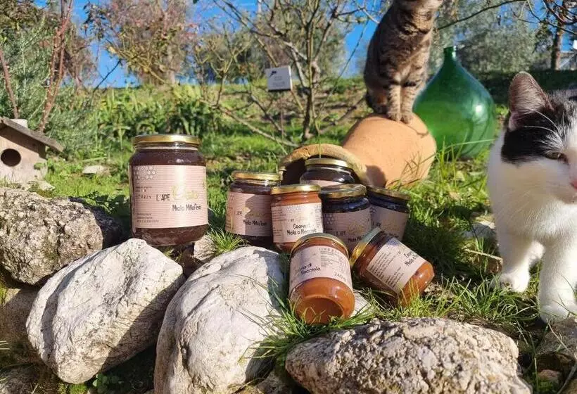 ホテル La Collina Degli Ulivi